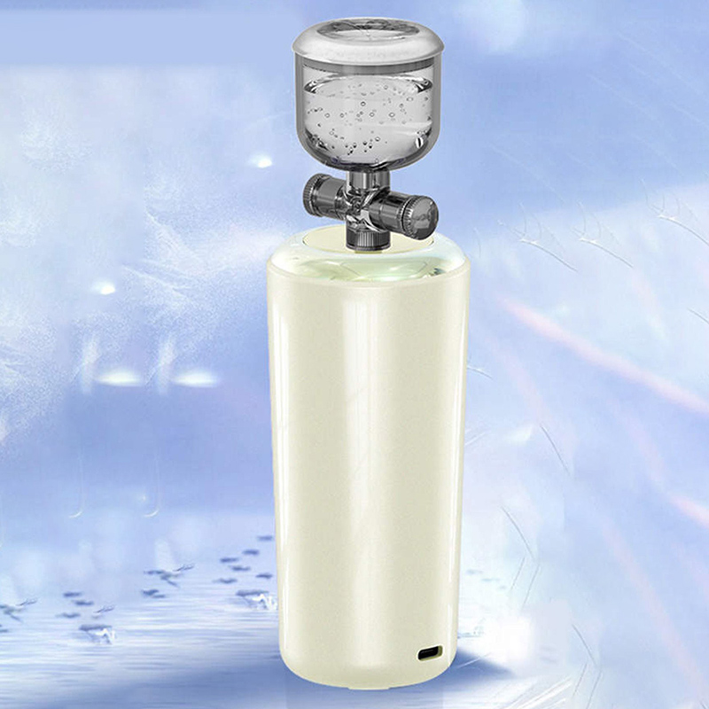 Portable Oxygen Skin Hydration Sprayer Image